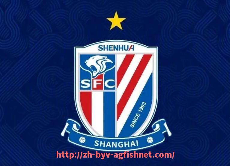 AG捕鱼王官网-德甲劫富济贫球队：讨论德甲中那些通过团队协作实现逆袭的球队